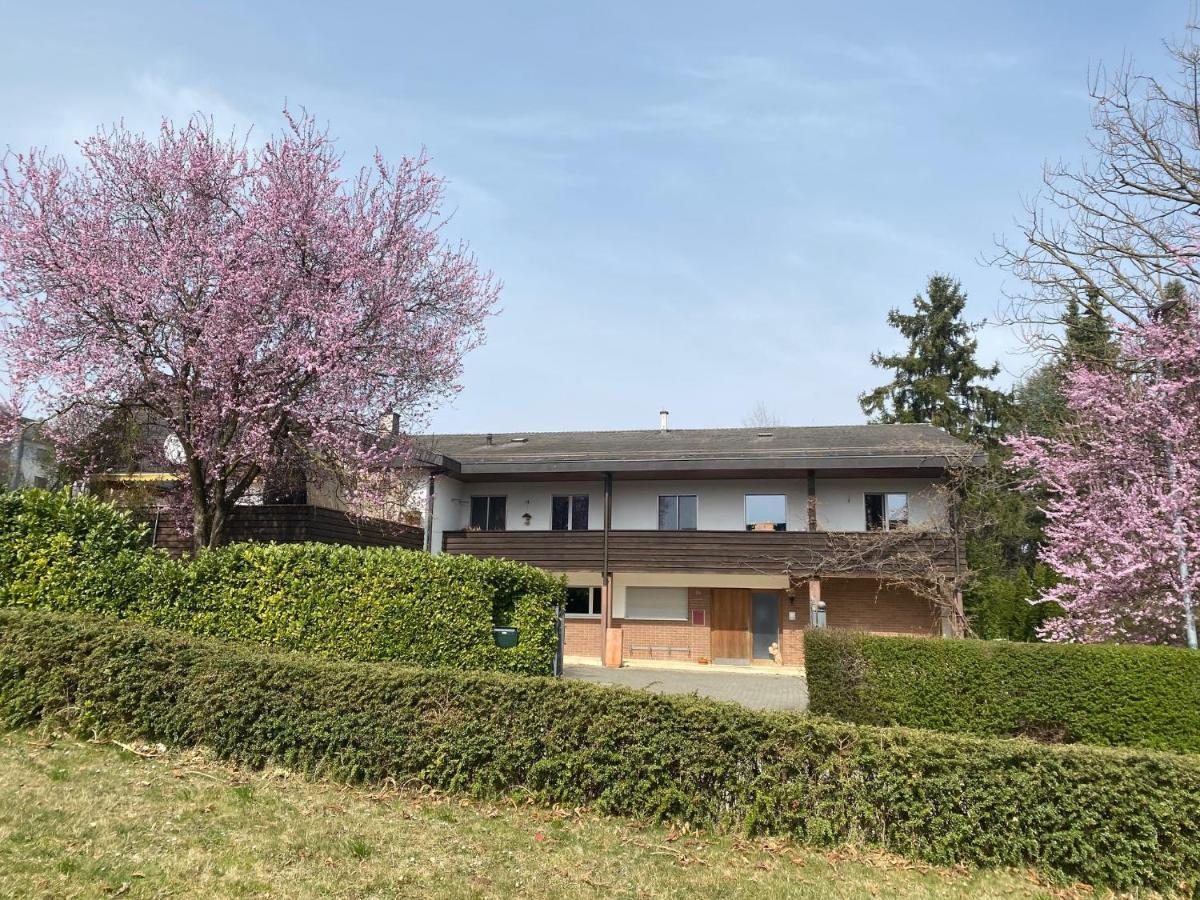 Apartments In Leafy Suburb Kehrsatz Exterior foto